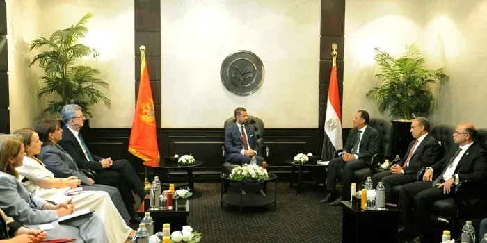 Egypt and Montenegro discuss enhancing economic cooperation in the energy sector