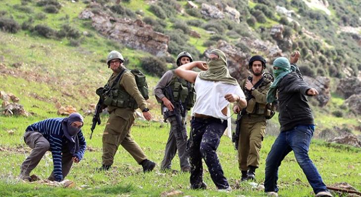 مستوطنون يهاجمون مزارعين أثناء عملهم في أراضيهم غرب سلفيت | شبكة يافا الإخبارية