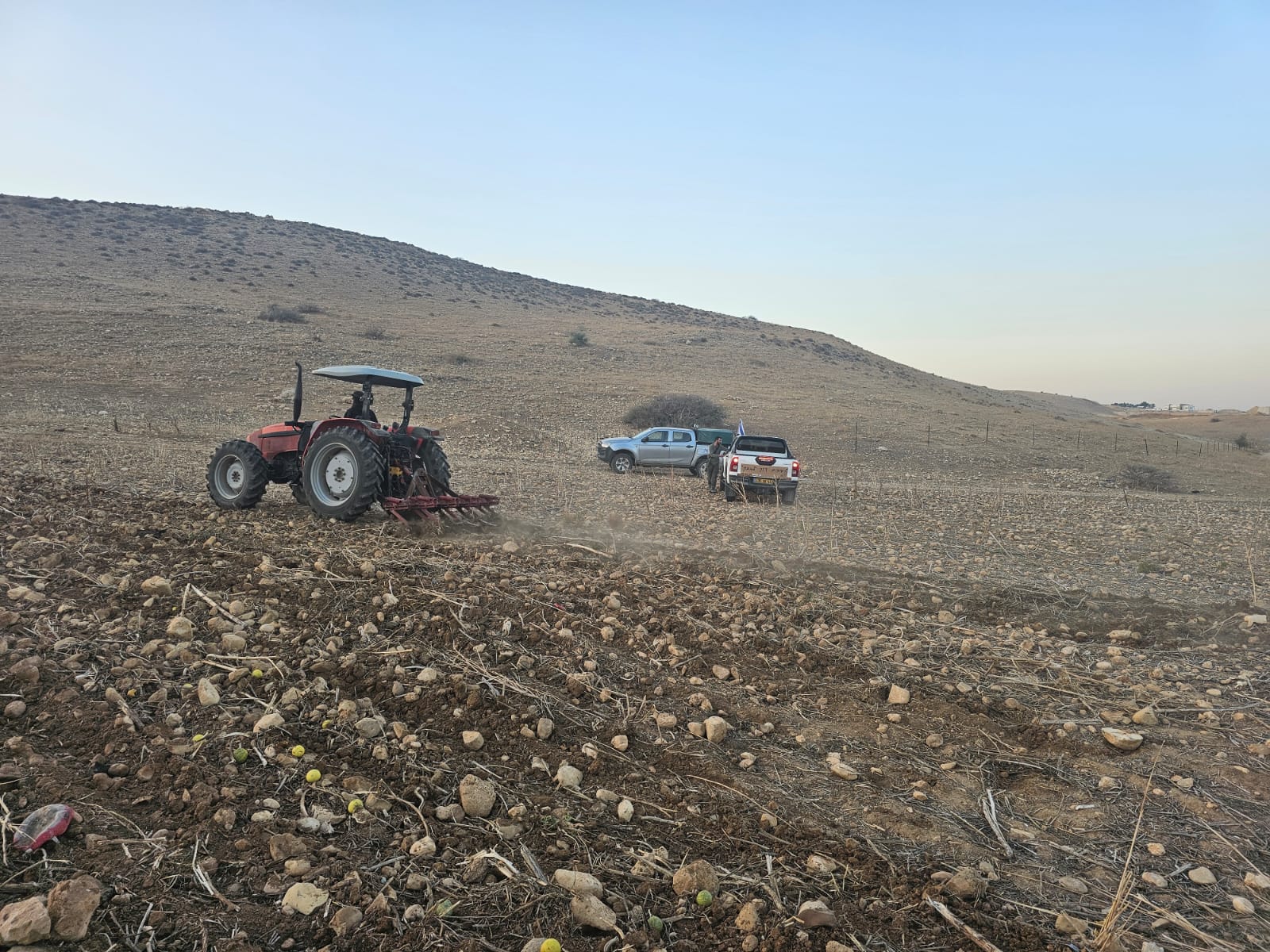 مستعمرون يحرثون أراضي المواطنين في الأغوار الشمالية | شبكة يافا الإخبارية