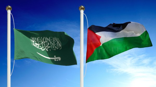 دولة فلسطين ترحب بالبيان الصادر عن السعودية بشأن التوصل لخارطة طريق لدعم مسار السلام في اليمن | شبكة يافا الإخبارية