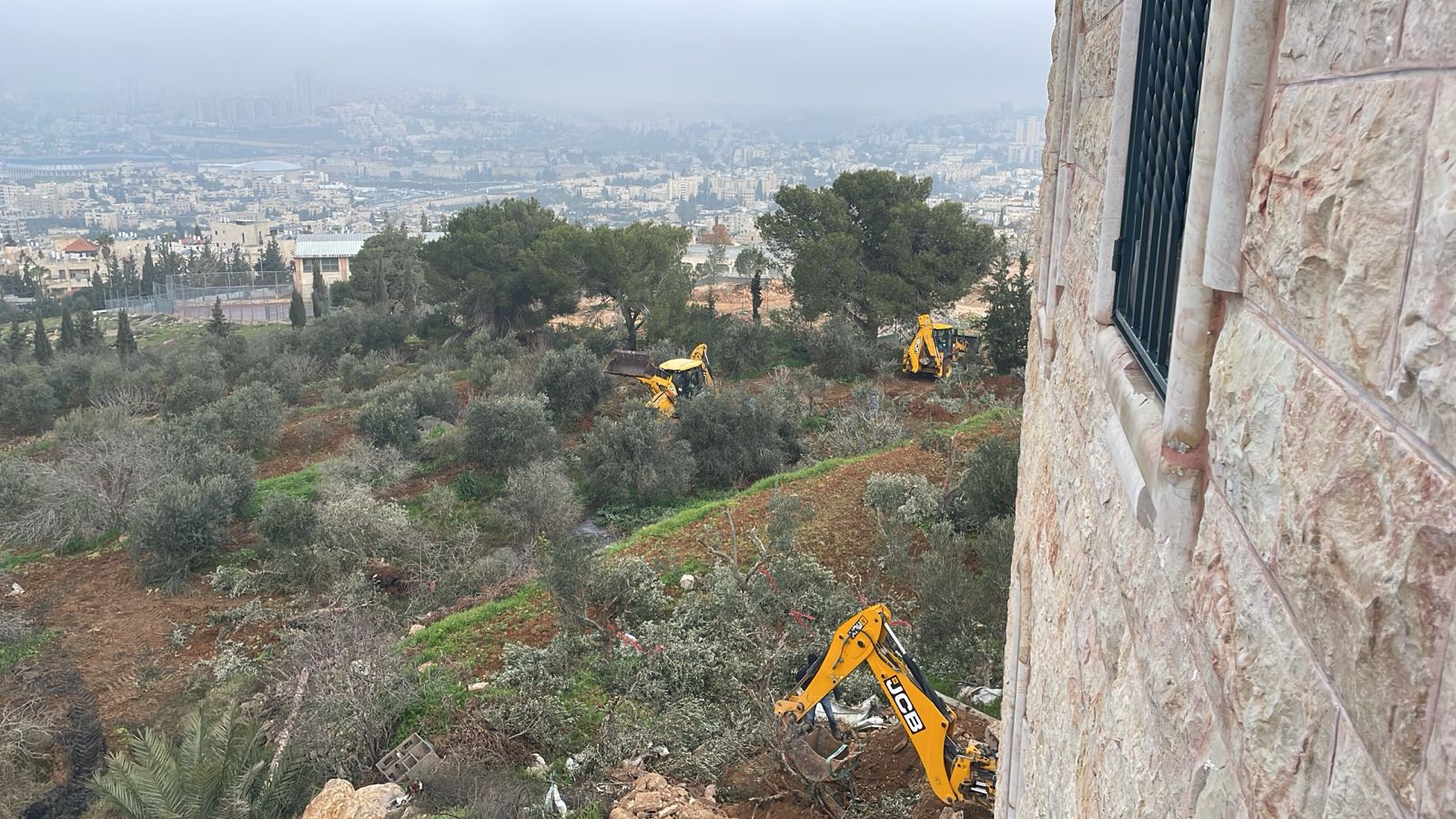 الاحتلال يجرف أراضي ويقتلع أشجارا ويعتقل مواطنين في بيت صفافا جنوب القدس | شبكة يافا الإخبارية